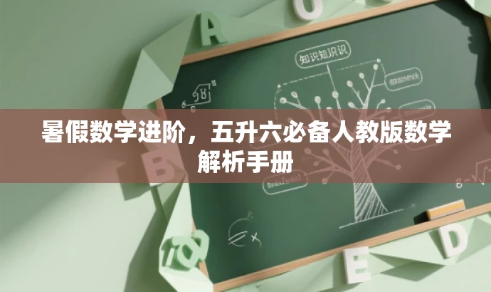 暑假数学进阶,五升六必备人教版数学解析手册 暑假数学进阶,五升六必备人教版数学解析手册