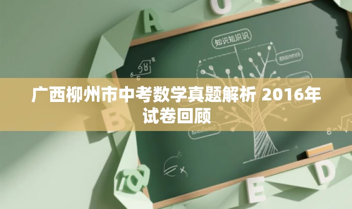 广西柳州市中考数学真题解析 2016年试卷回顾 广西柳州市中考数学真题解析 2016年试卷回顾