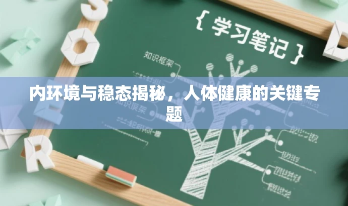 内环境与稳态揭秘,人体健康的关键专题 内环境与稳态揭秘,人体健康的关键专题