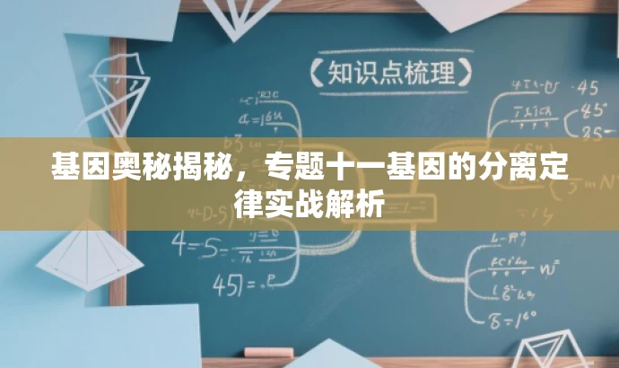 基因奥秘揭秘,专题十一基因的分离定律实战解析 基因奥秘揭秘,专题十一基因的分离定律实战解析
