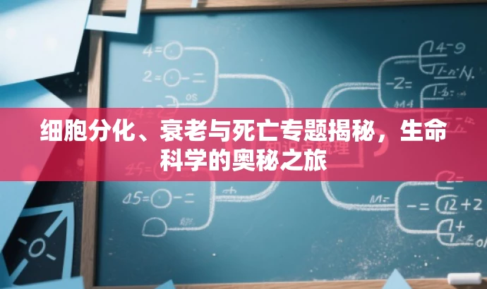 细胞分化、衰老与死亡专题揭秘,生命科学的奥秘之旅 细胞分化、衰老与死亡专题揭秘,生命科学的奥秘之旅