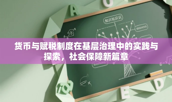 货币与赋税制度在基层治理中的实践与探索,社会保障新篇章 货币与赋税制度在基层治理中的实践与探索,社会保障新篇章