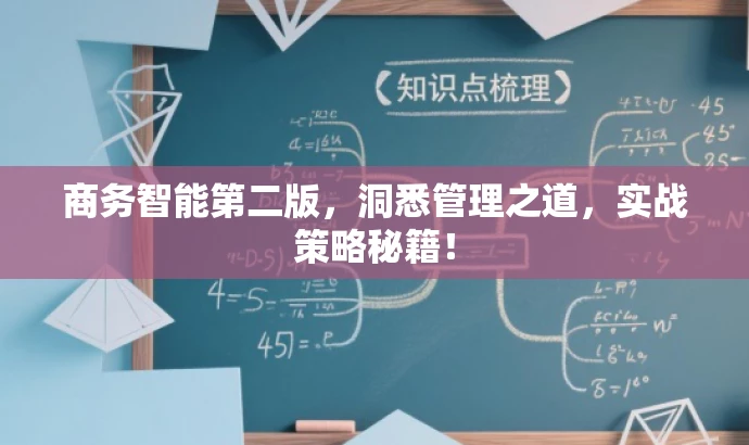 商务智能第二版,洞悉管理之道,实战策略秘籍! 商务智能第二版,洞悉管理之道,实战策略秘籍!