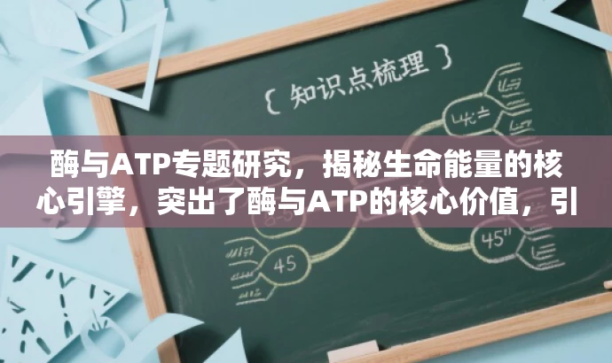 酶与ATP专题研究，揭秘生命能量的核心引擎，突出了酶与ATP的核心价值，引发读者对生命能量机制的兴趣，适合吸引生物学、化学等相关学科的学习者及爱好者。