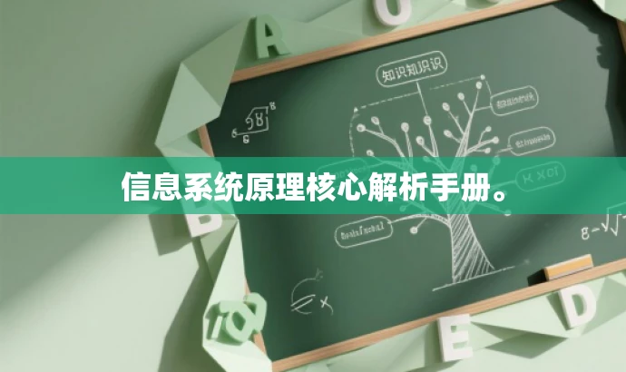 信息系统原理核心解析手册。 信息系统原理核心解析手册。