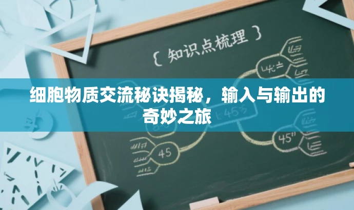 细胞物质交流秘诀揭秘,输入与输出的奇妙之旅 细胞物质交流秘诀揭秘,输入与输出的奇妙之旅