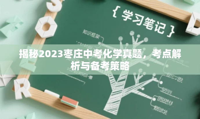 揭秘2023枣庄中考化学真题,考点解析与备考策略 揭秘2023枣庄中考化学真题,考点解析与备考策略