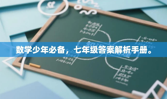 数学少年必备,七年级答案解析手册。 数学少年必备,七年级答案解析手册。