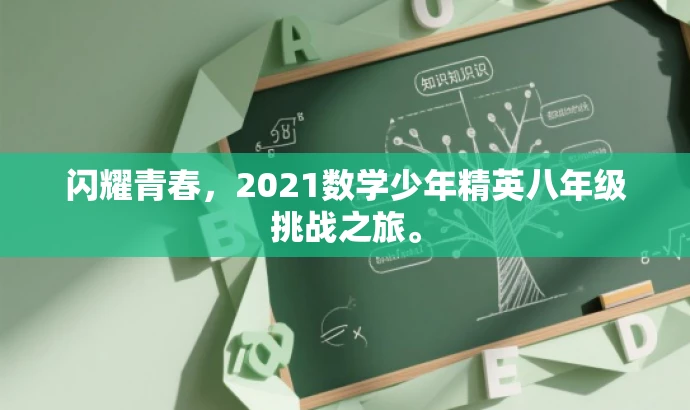 闪耀青春，2021数学少年精英八年级挑战之旅。