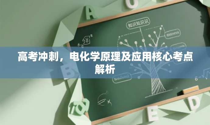 高考冲刺,电化学原理及应用核心考点解析 高考冲刺,电化学原理及应用核心考点解析