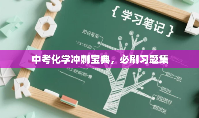 中考化学冲刺宝典,必刷习题集 中考化学冲刺宝典,必刷习题集
