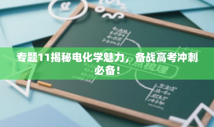 专题11揭秘电化学魅力,备战高考冲刺必备! 专题11揭秘电化学魅力,备战高考冲刺必备!