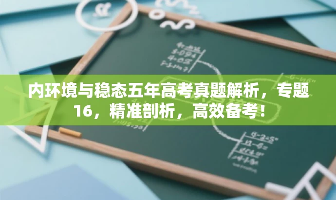 内环境与稳态五年高考真题解析,专题16,精准剖析,高效备考! 内环境与稳态五年高考真题解析,专题16,精准剖析,高效备考!