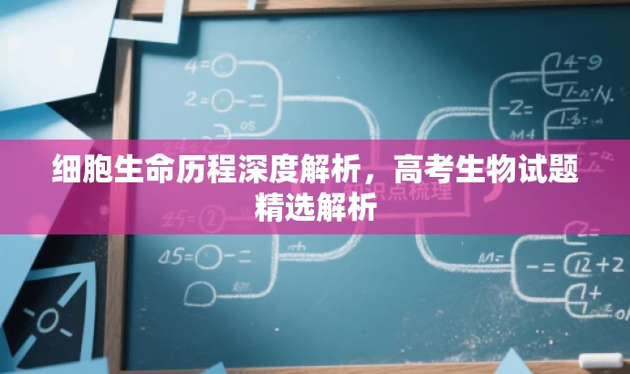 细胞生命历程深度解析,高考生物试题精选解析 细胞生命历程深度解析,高考生物试题精选解析