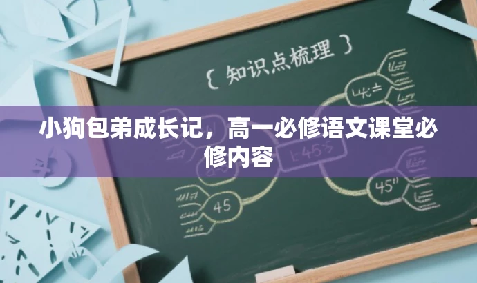 小狗包弟成长记，高一必修语文课堂必修内容