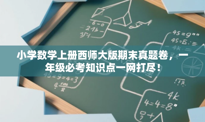 小学数学上册西师大版期末真题卷，一年级必考知识点一网打尽！