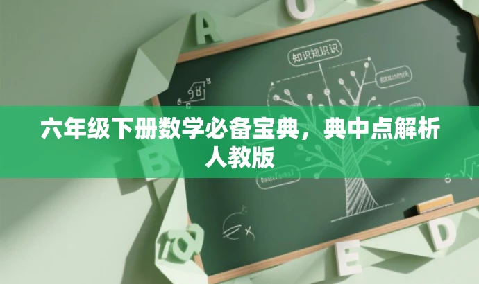 六年级下册数学必备宝典,典中点解析人教版 六年级下册数学必备宝典,典中点解析人教版