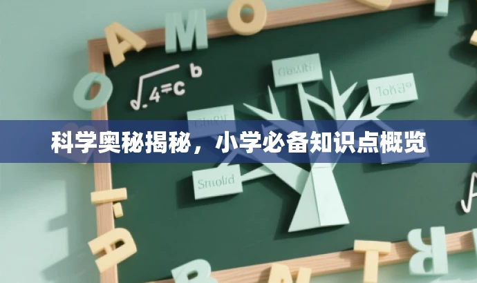 科学奥秘揭秘,小学必备知识点概览 科学奥秘揭秘,小学必备知识点概览