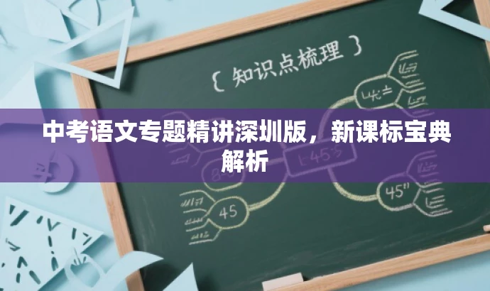 中考语文专题精讲深圳版，新课标宝典解析