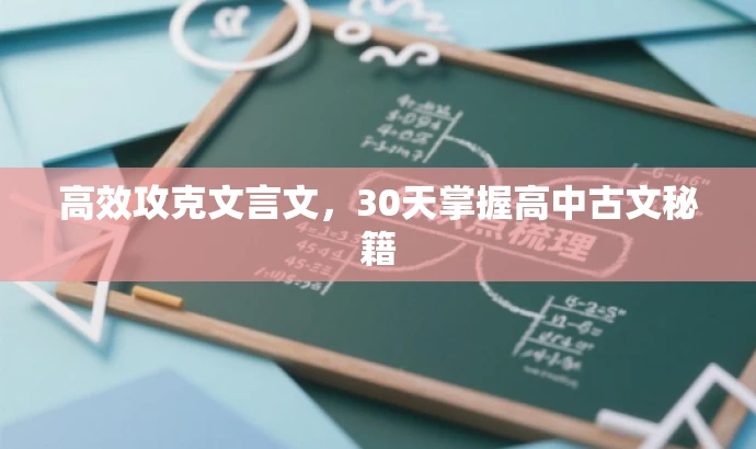 高效攻克文言文,30天掌握高中古文秘籍 高效攻克文言文,30天掌握高中古文秘籍