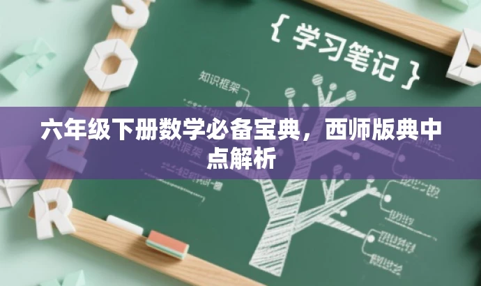 六年级下册数学必备宝典，西师版典中点解析