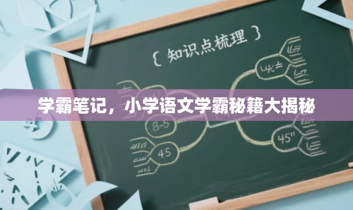 学霸笔记,小学语文学霸秘籍大揭秘 学霸笔记,小学语文学霸秘籍大揭秘