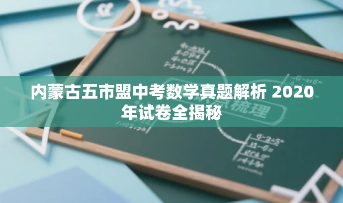内蒙古五市盟中考数学真题解析 2020年试卷全揭秘