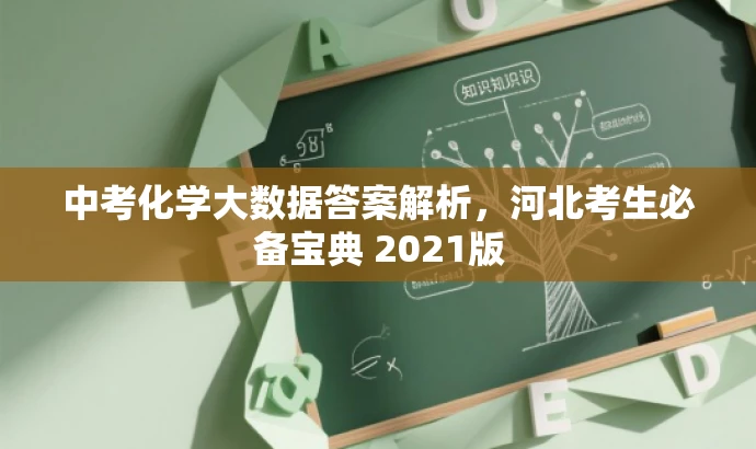 中考化学大数据答案解析,河北考生必备宝典 2021版 中考化学大数据答案解析,河北考生必备宝典 2021版