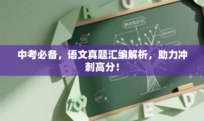 中考必备,语文真题汇编解析,助力冲刺高分! 中考必备,语文真题汇编解析,助力冲刺高分!