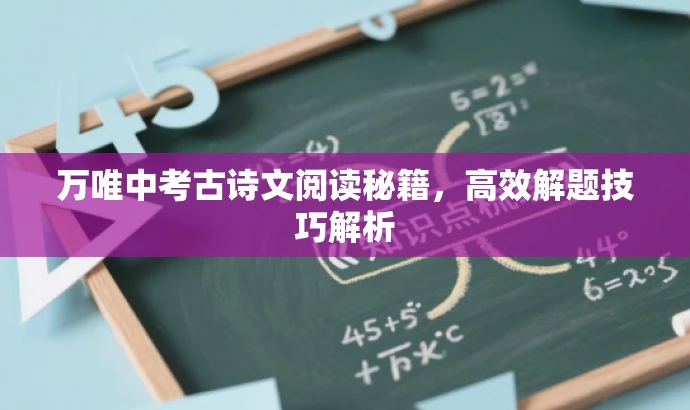 万唯中考古诗文阅读秘籍，高效解题技巧解析
