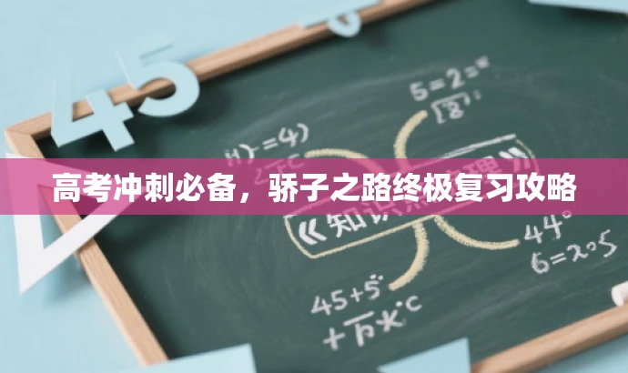 高考冲刺必备,骄子之路终极复习攻略 高考冲刺必备,骄子之路终极复习攻略