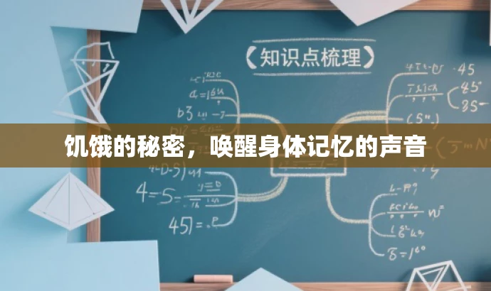 饥饿的秘密,唤醒身体记忆的声音 饥饿的秘密,唤醒身体记忆的声音