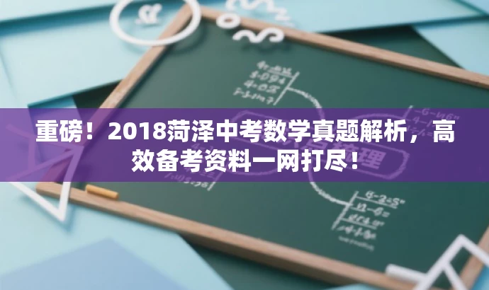 重磅！2018菏泽中考数学真题解析，高效备考资料一网打尽！