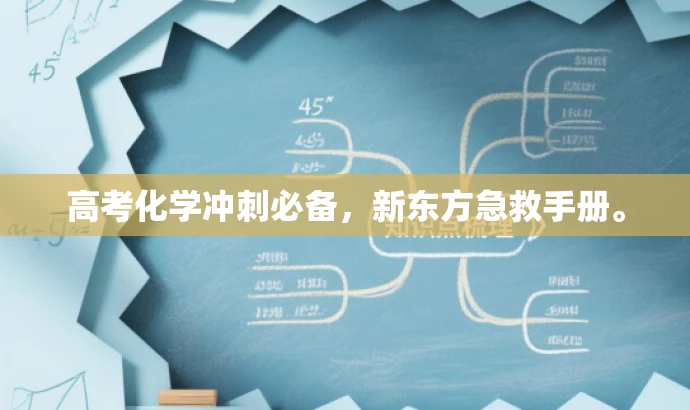 高考化学冲刺必备,新东方急救手册。 高考化学冲刺必备,新东方急救手册。