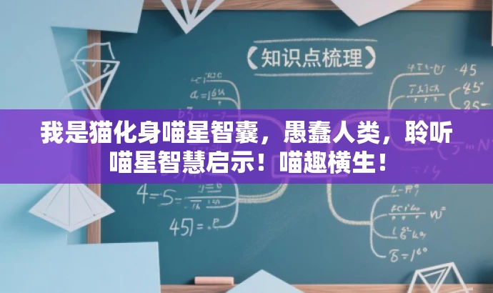 我是猫化身喵星智囊，愚蠢人类，聆听喵星智慧启示！喵趣横生！