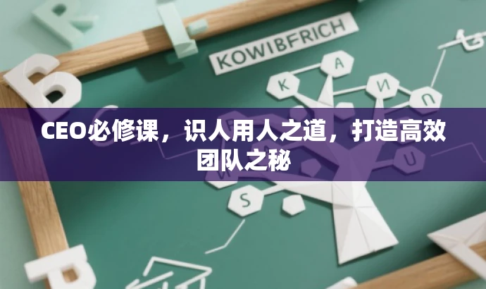 CEO必修课,识人用人之道,打造高效团队之秘 CEO必修课,识人用人之道,打造高效团队之秘