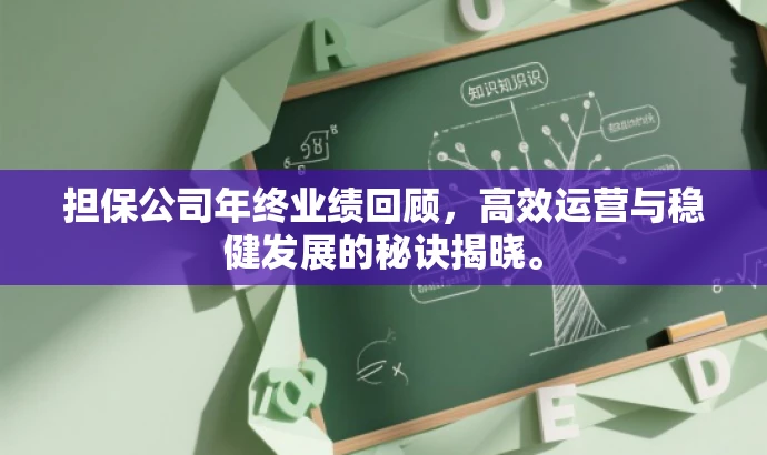 担保公司年终业绩回顾,高效运营与稳健发展的秘诀揭晓。 担保公司年终业绩回顾,高效运营与稳健发展的秘诀揭晓。