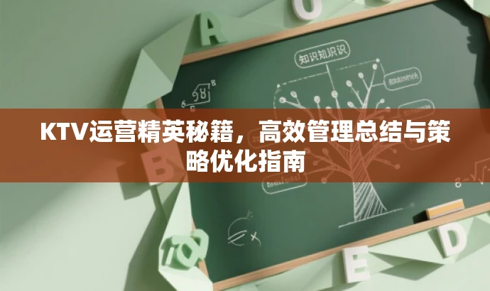 KTV运营精英秘籍，高效管理总结与策略优化指南