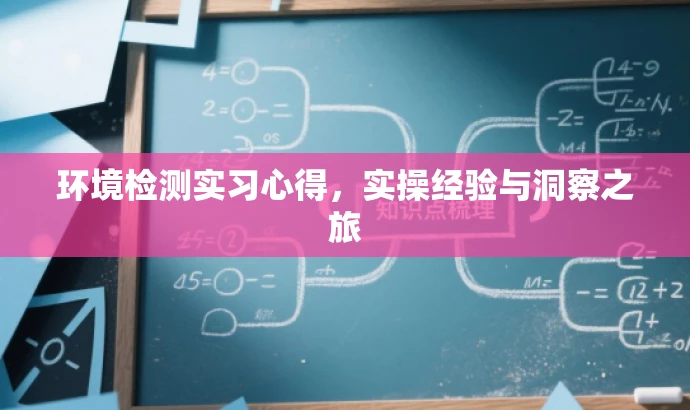 环境检测实习心得,实操经验与洞察之旅 环境检测实习心得,实操经验与洞察之旅