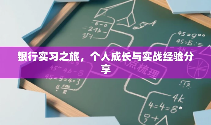 银行实习之旅,个人成长与实战经验分享 银行实习之旅,个人成长与实战经验分享