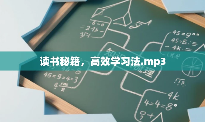读书秘籍,高效学习法.mp3 读书秘籍,高效学习法.mp3