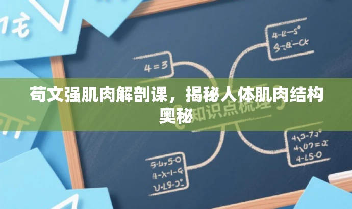苟文强肌肉解剖课，揭秘人体肌肉结构奥秘