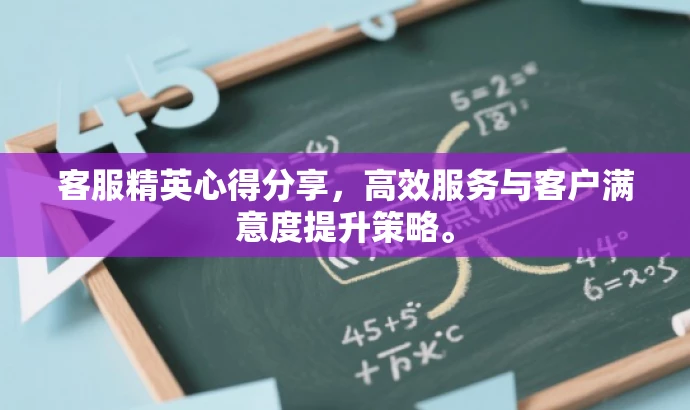 客服精英心得分享，高效服务与客户满意度提升策略。