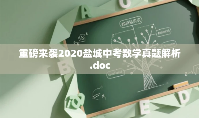 重磅来袭2020盐城中考数学真题解析.doc