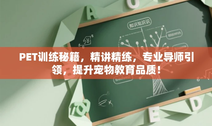 PET训练秘籍,精讲精练,专业导师引领,提升宠物教育品质! PET训练秘籍,精讲精练,专业导师引领,提升宠物教育品质!