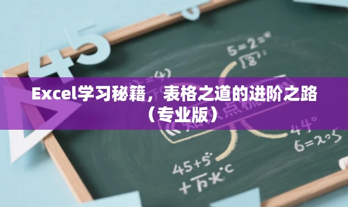 Excel学习秘籍,表格之道的进阶之路(专业版) Excel学习秘籍,表格之道的进阶之路(专业版)