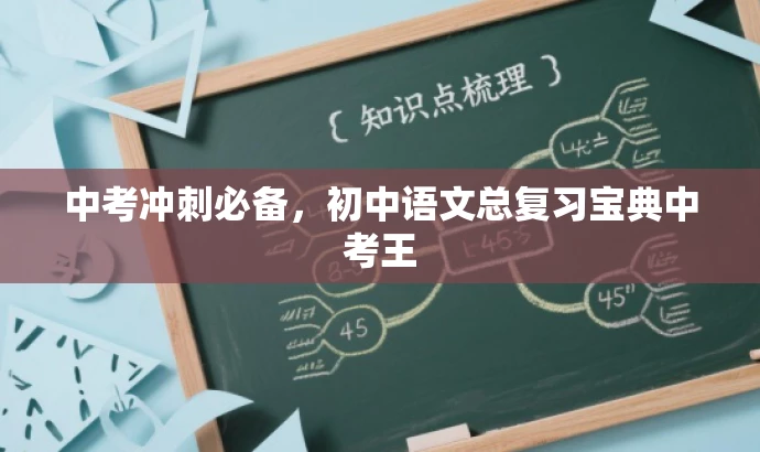中考冲刺必备,初中语文总复习宝典中考王 中考冲刺必备,初中语文总复习宝典中考王