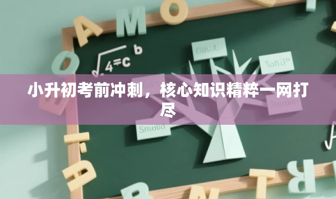 小升初考前冲刺,核心知识精粹一网打尽 小升初考前冲刺,核心知识精粹一网打尽