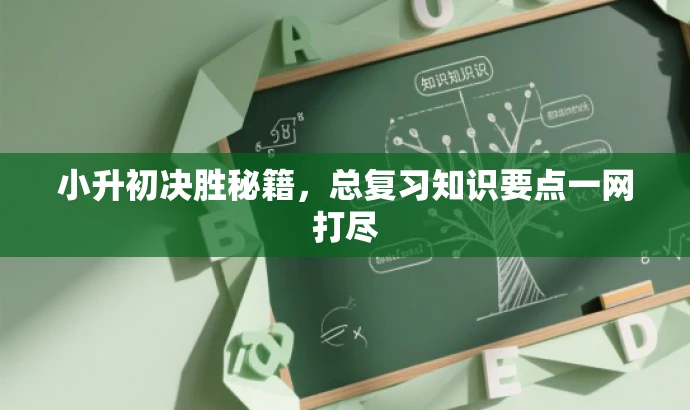 小升初决胜秘籍,总复习知识要点一网打尽 小升初决胜秘籍,总复习知识要点一网打尽