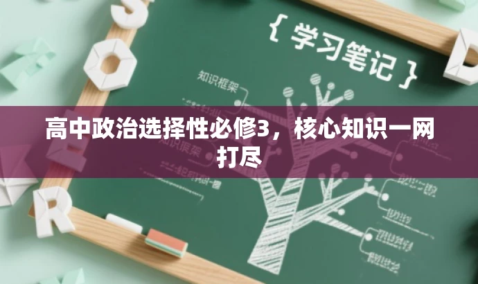 高中政治选择性必修3,核心知识一网打尽 高中政治选择性必修3,核心知识一网打尽